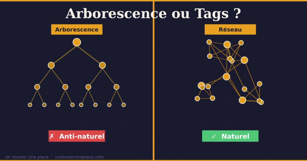 Arborescence ou Tags ? La vraie réponse de la neuroscience 2 visuel arbre reseau HQ 1